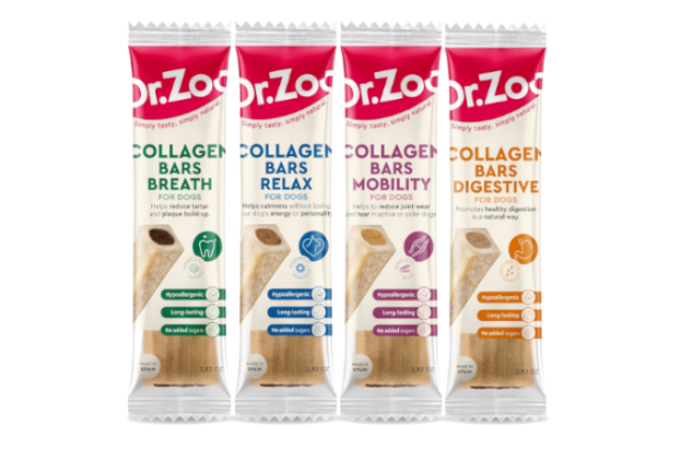 Lody dla psa